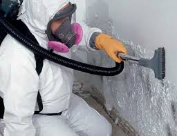 Best Environmental Consulting for Mold Prevention  in Frankfort, OH